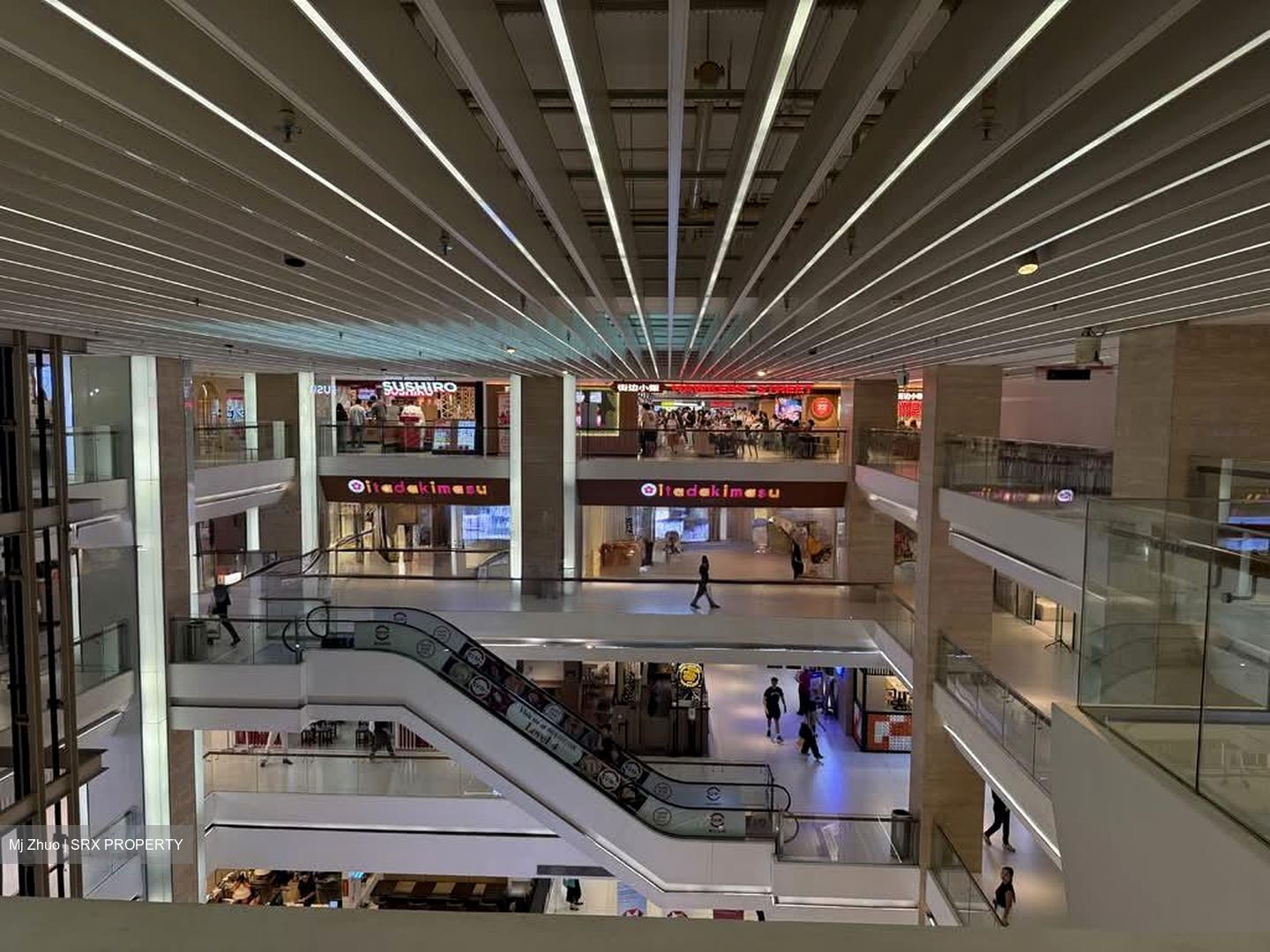 100 Am (D2), Retail #599081031